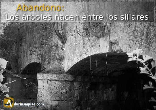 Durius Aquae: Canal de Castilla: acueducto