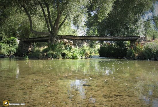Antiguo puente en Rábano con troncos de sabina. Valladolid