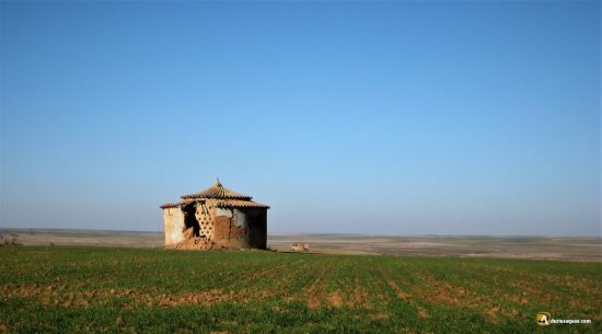Palomar en Villafáfila