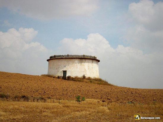 Palomar en Tierra de Campos, Valladolid
