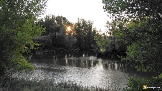 Confluencia Duero Pisuerga, Valladolid