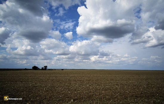 PARAMO en Cogeces del Monte, Valladolid