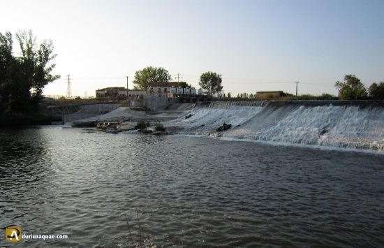 Azuz de Pesqueruela, Simáncas, Valladolid