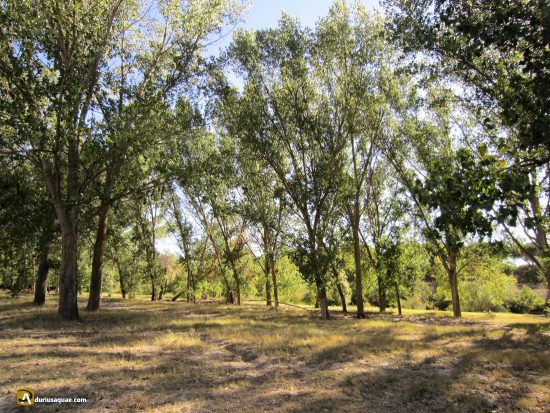 La ribera del río Duero, Valladolid