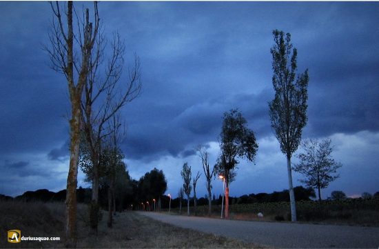 Sardón de duero, camino del Cementerio