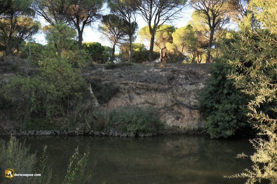 Río Duero en Puenteduero, Valladolid