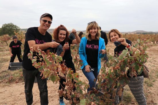 Bodega Malacuera. Vendimia del 2017