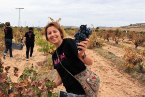 Bodega Malacuera. Vendimia del 2017
