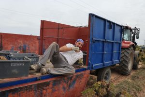 Bodega Malacuera. Vendimia del 2017