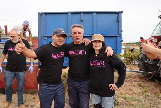 Bodega Malacuera. Vendimia del 2017