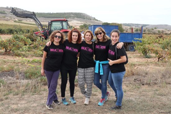 Bodega Malacuera. Vendimia del 2017