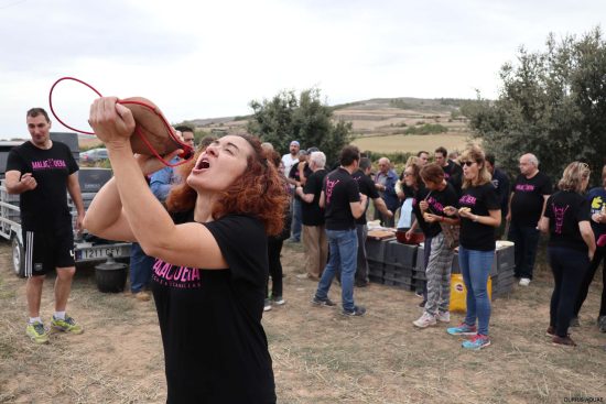 Bodega Malacuera. Vendimia del 2017