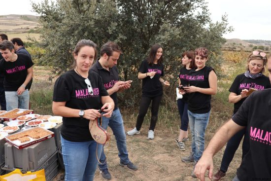 Bodega Malacuera. Vendimia del 2017