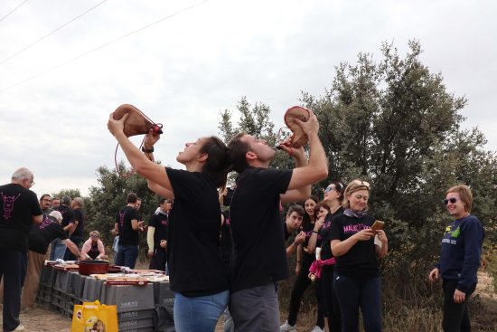 Bodega Malacuera. Vendimia del 2017