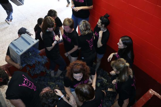 Bodega Malacuera. Vendimia del 2017