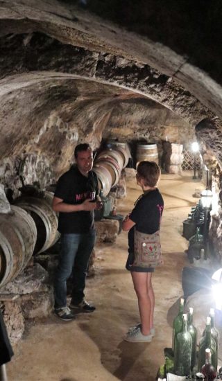 Bodega Malacuera. Vendimia del 2017