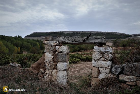 Majuelo en Valdezate Burgos