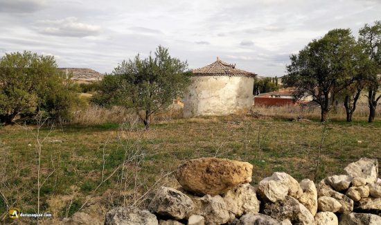 Palomar en Castrillo de Duero, Valladolid