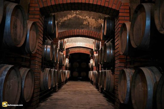 Bodega en Figueira de Castelo Rodrigo