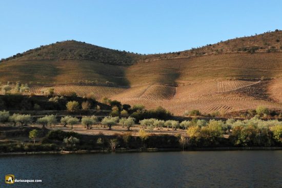navegando por el Río Douro, Portugal