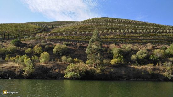 La ribera desde el Douro, Tras os Montes
