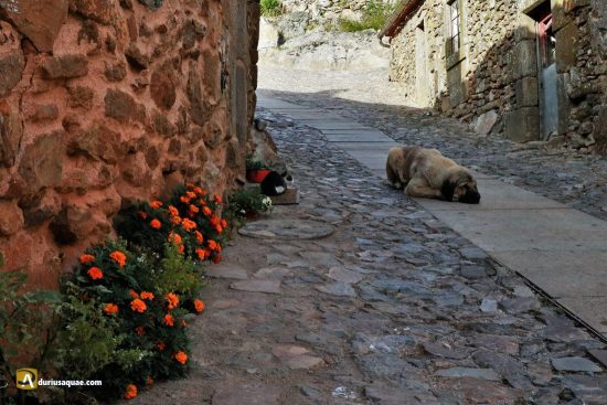 Calles de Castelo Rodrigo