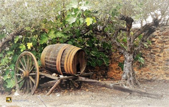 Careta en Castelo Rodrigo