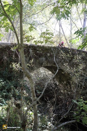 Puente sobre el río Omaña, Montrondo, León