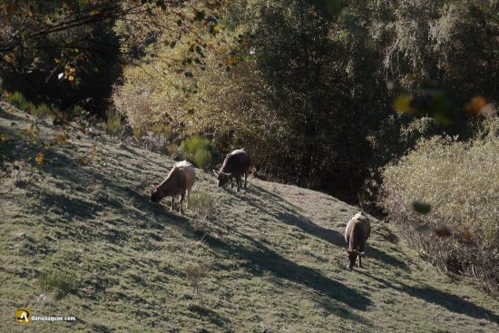 Murías de Paredes, León