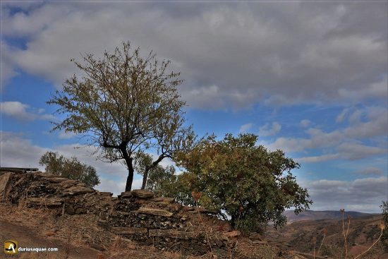 Miros tradicionales de pizarra, Castelo Rodrigo