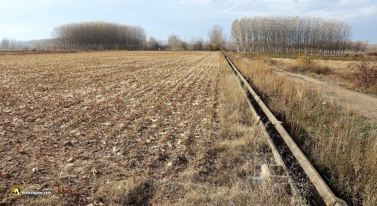 regadíos junto al Órbigo en León