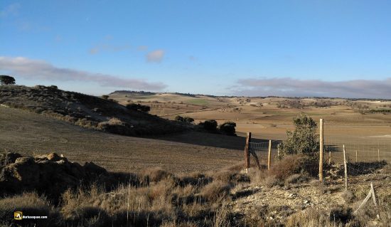 Montes del Cerrato, entre Palencia y Valladolid