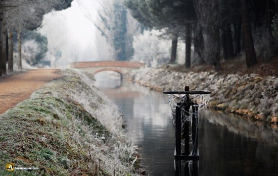 Canal del Duero
