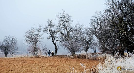 Paseo con la escarcha en Laguna de Duero