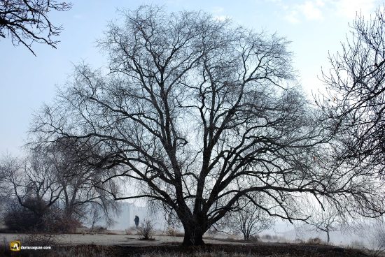 Paraje invernal en Laguna de Duero