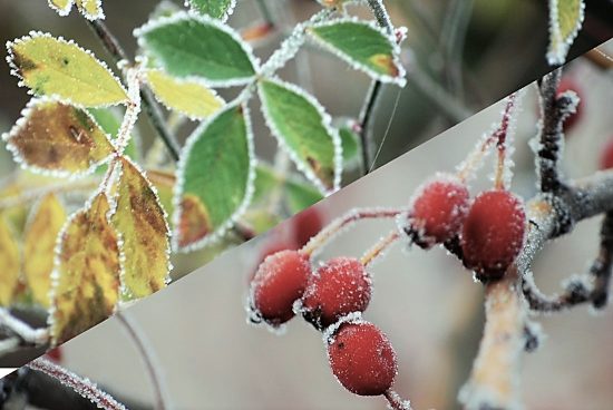 Portada entrada de Laguna de Duero