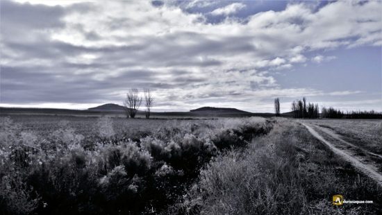 El Bajoz ente los Torozos