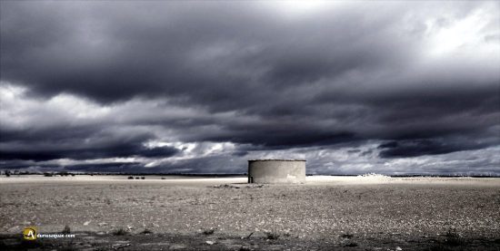 Palomar bajo la tormenta