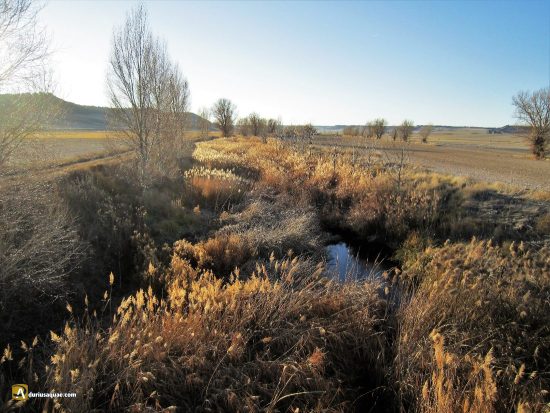 Esguevillas de Esgueva