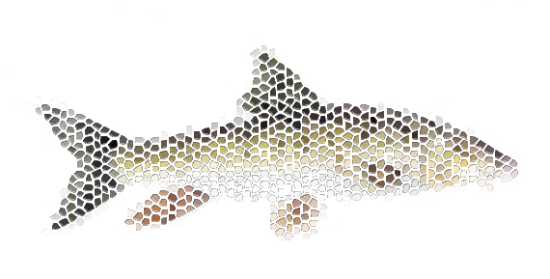 La pesca en invierno