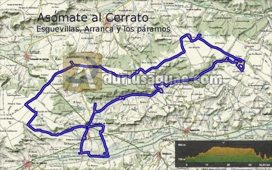 Ruta Cerrato