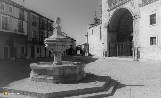 Catedral del Burgo de Osma