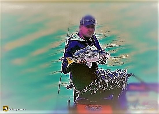 Pescador en el Pisuerga