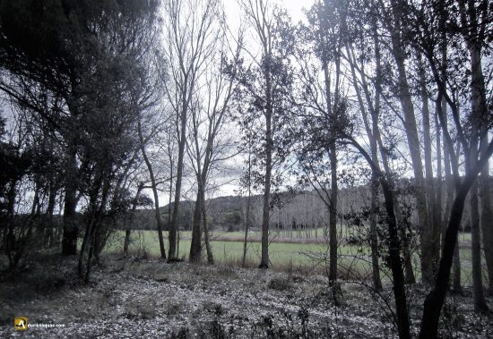 Valle de Valcorba a la altura de la dehesa de os Fraíles