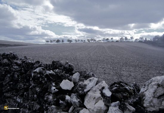 Cañada de Martín Abad, Valladolid