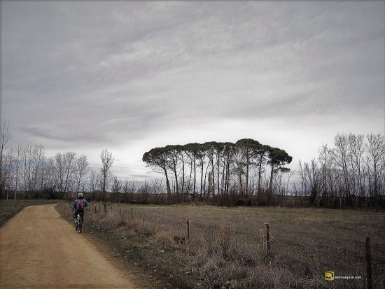 Hacia el molino de la Granja, Junto al río Cea