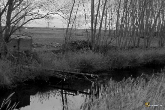 Captación agua en el medio del Cea