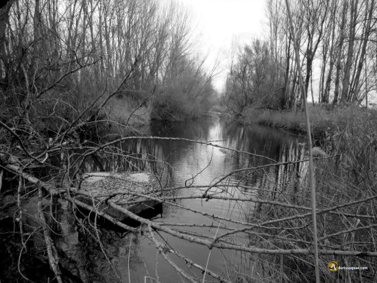 La maleza y troncos secos se acumulan y una balsa abandonada en el Cea