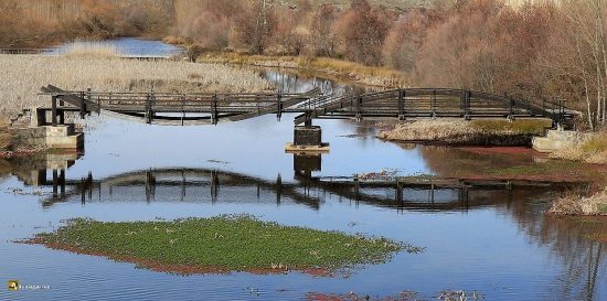 Río tormes: isla Garcilaso