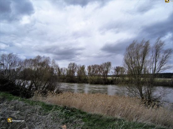 Peleagonzalo: río Duero
